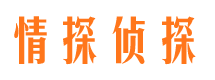 眉山侦探公司